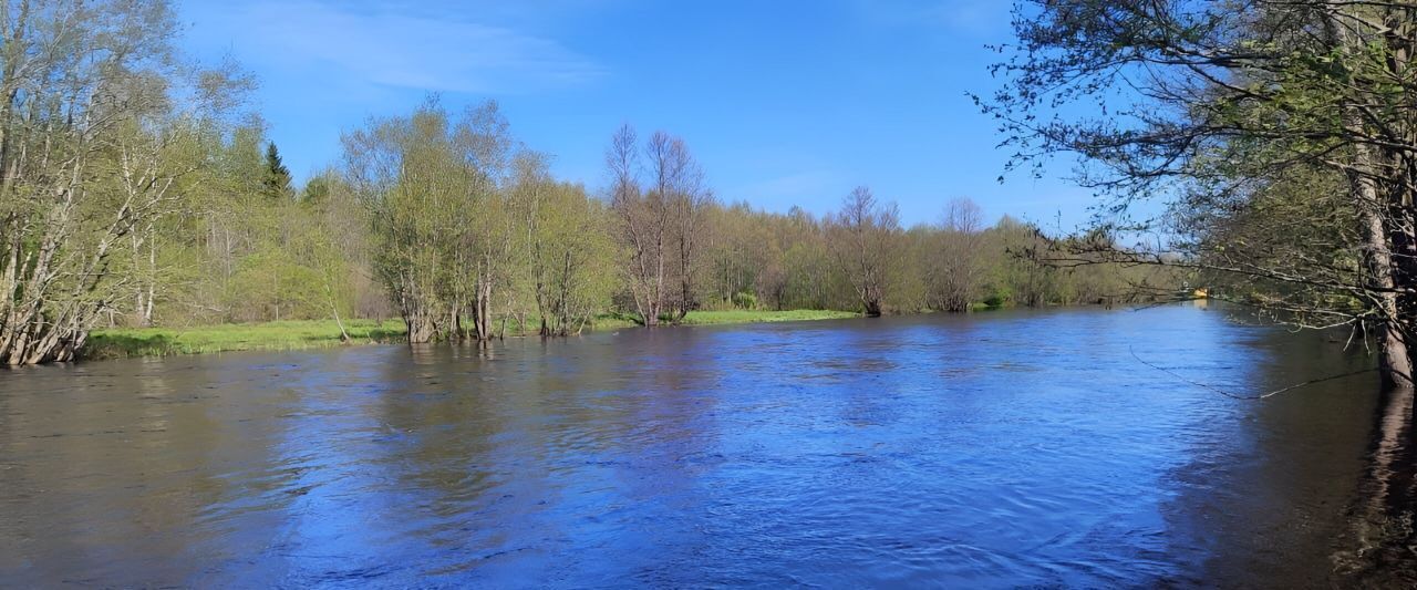 дом р-н Красногородский д Иванцево фото 19