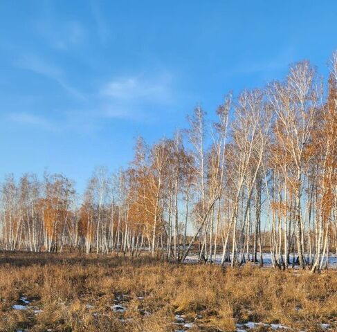 п Песчаный Луговское с/пос фото