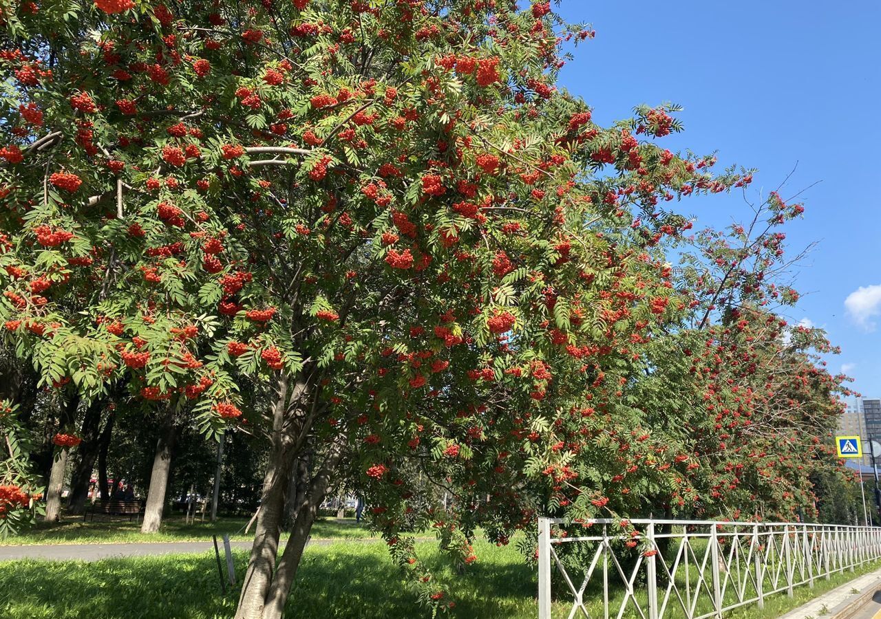 квартира г Пермь р-н Свердловский ул Народовольческая 37 фото 9