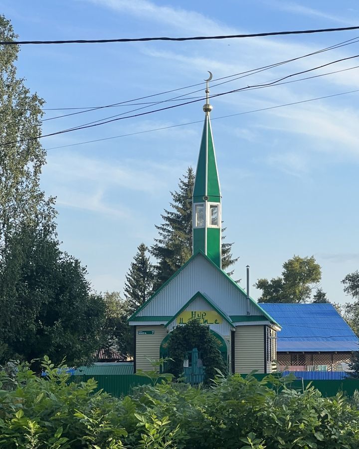 дом р-н Туймазинский с Николаевка ул Набережная 19 сельсовет, Уфимский р-н, Дмитриевка, Николаевский фото 39