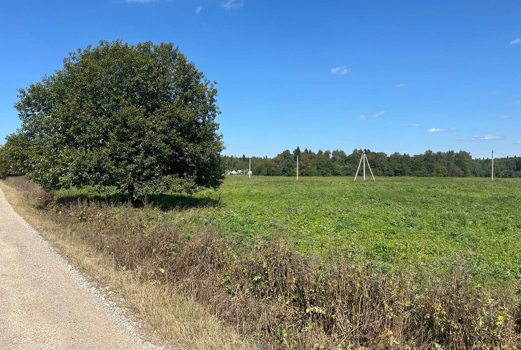 земля городской округ Клин д Вертково фото 4