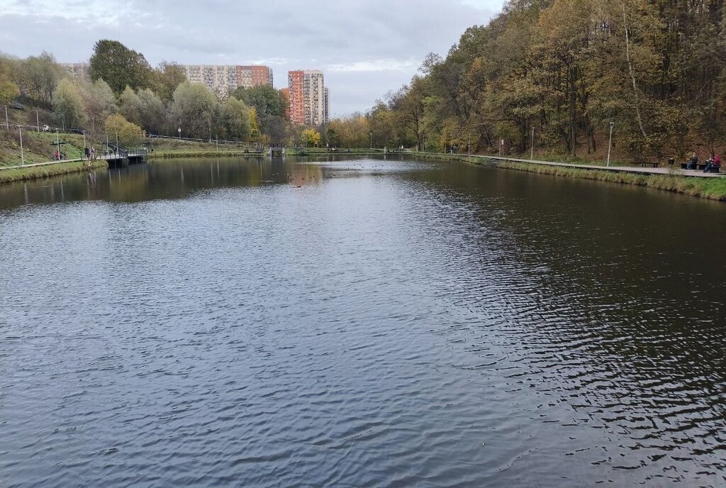 квартира г Москва ул Муравская 46к/4 направление Ленинградское (северо-запад) ш Пятницкое Московская область фото 29