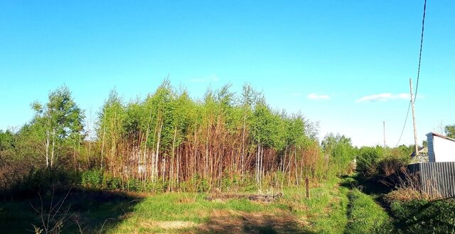 Турлатовское сельское поселение, садоводческое товарищество Авиатор, Рязань фото