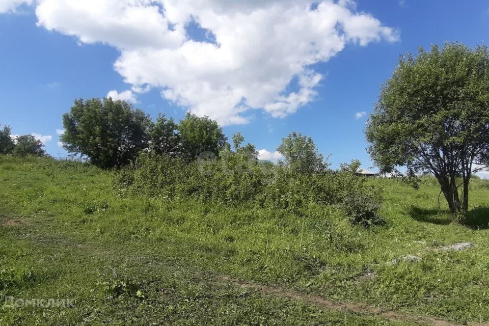 земля р-н Новокузнецкий Кемеровская область — Кузбасс, село Таргай фото 6