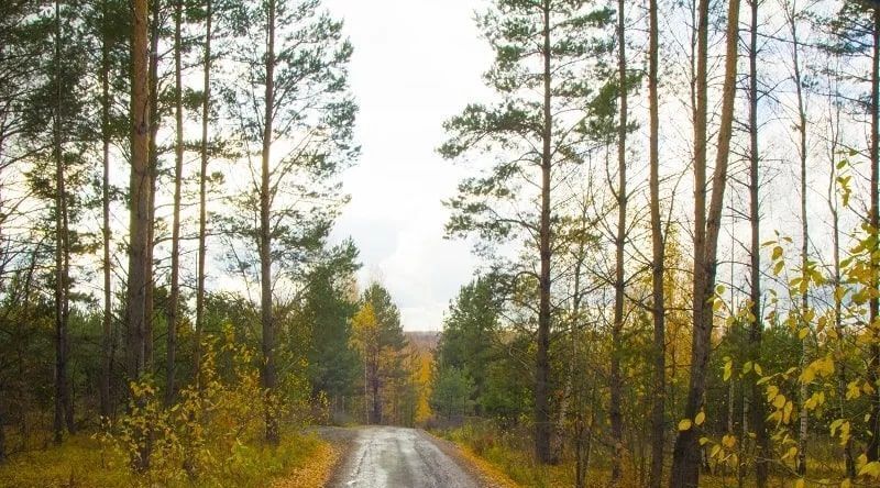 земля р-н Зеленодольский с Большие Ключи Большеключинское с/пос фото 2