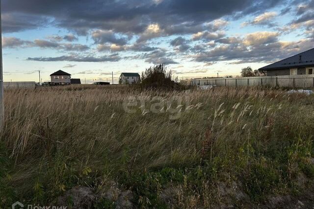 село Борки фото