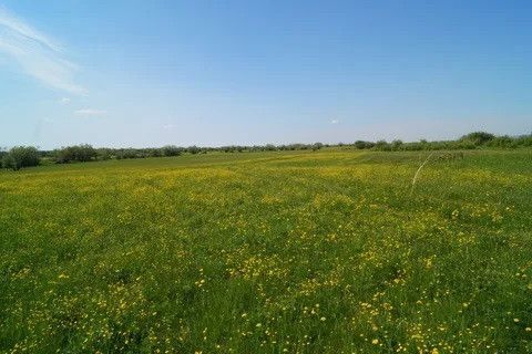 земля р-н Хабаровский коттеджный посёлок Берёзовая слобода, Таёжный переулок фото 1