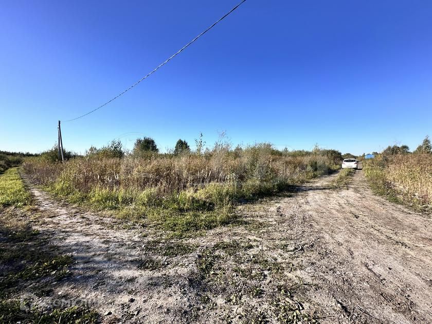 земля г Тюмень городской округ Тюмень, СО Матрешка фото 1