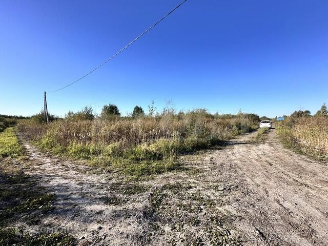 городской округ Тюмень, СО Матрешка фото