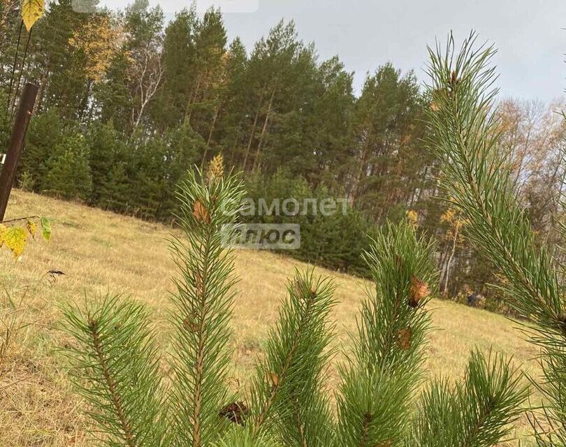 земля р-н Тюменский д Якуши пер Мичурина фото 1