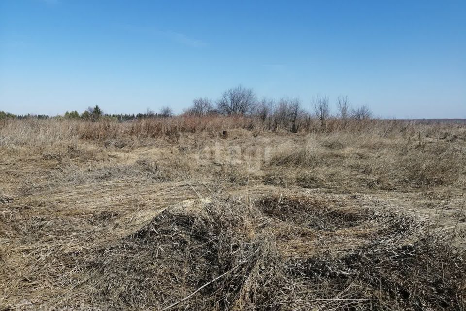 земля р-н Ирбитский д Кривая ул Центральная фото 2