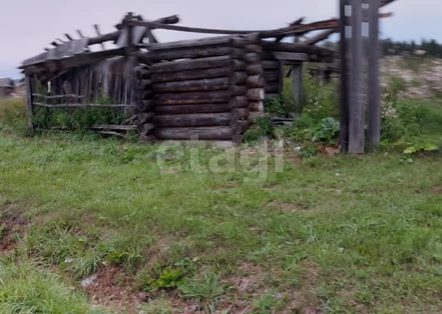 земля р-н Ирбитский село Чернорицкое фото 2