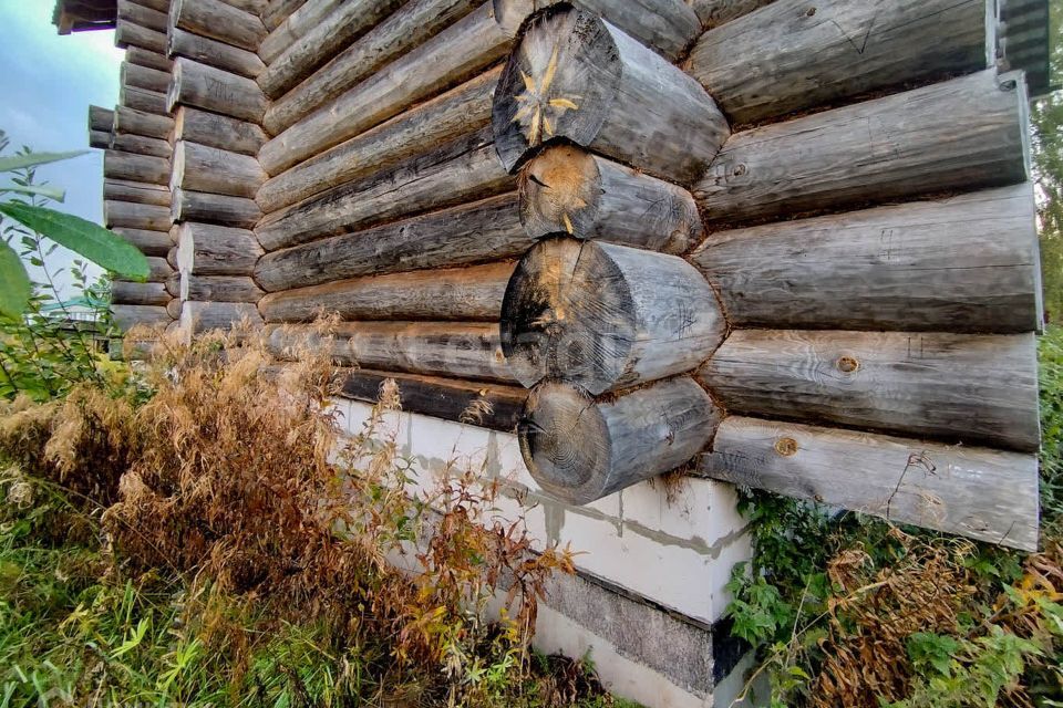 дом р-н Некоузский д Большое Дьяконово ул Центральная 18 фото 4