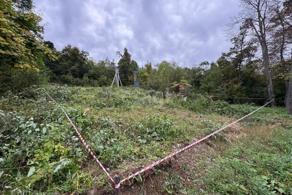 земля Владивостокский городской округ, дачный массив Синяя Сопка, СНТ Витязь фото 3