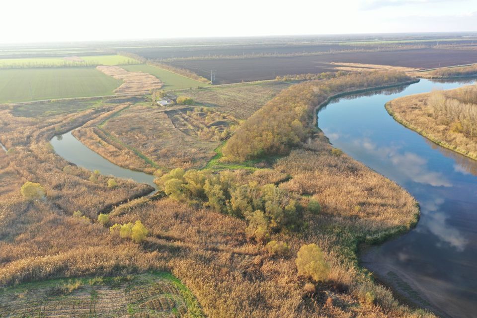 земля р-н Кореновский фото 2