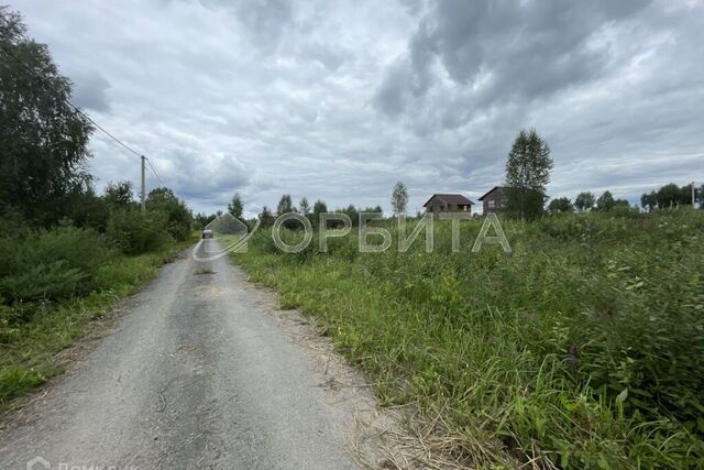 земля городской округ Тюмень, СНТ Березняки фото