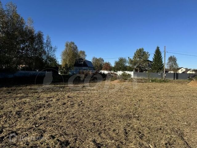 г Тюмень городской округ Тюмень, СО Лаванда фото