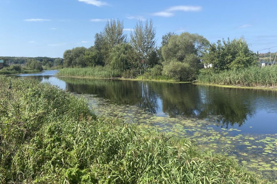 земля р-н Новоусманский село Рождественская Хава фото 2