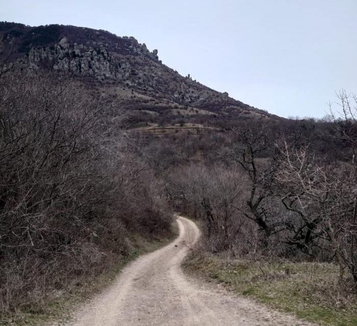 земля г Алушта с Лучистое ул Гостиная 14 городской округ Алушта фото 9