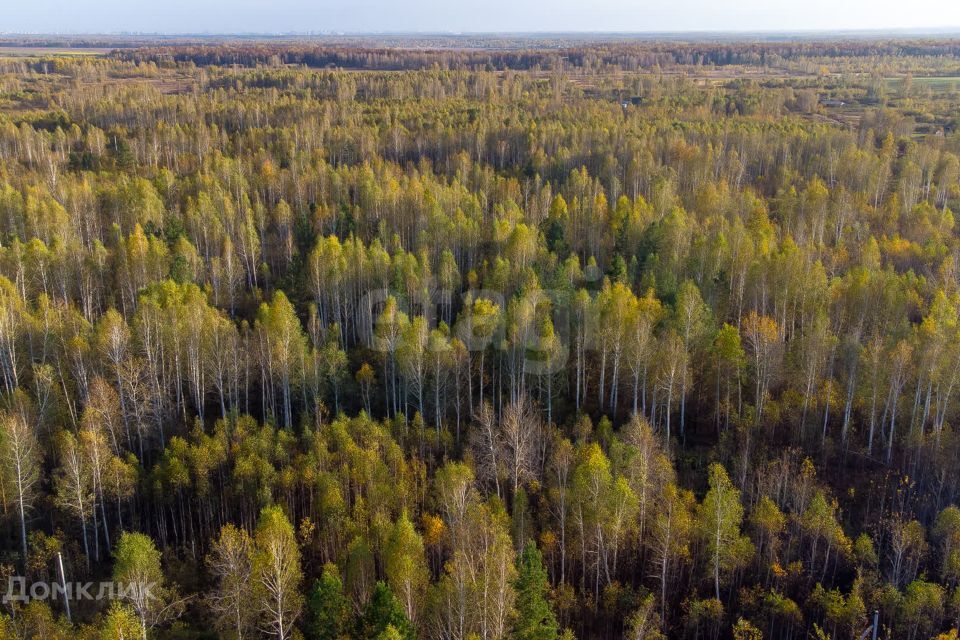 земля г Тюмень снт Светлое ул Садовая городской округ Тюмень фото 5