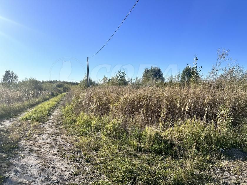 земля г Тюмень городской округ Тюмень, СО Матрешка фото 6