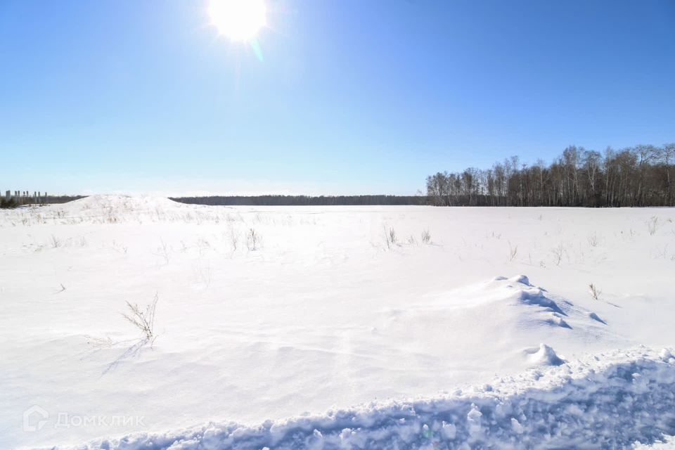 земля р-н Тюменский с Горьковка ул Совхозная фото 9