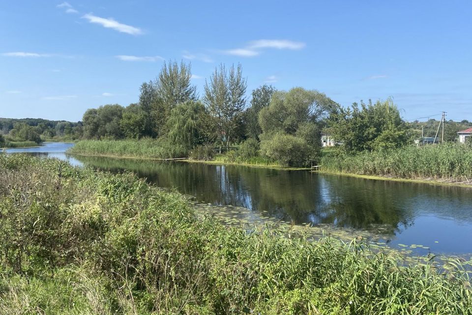 земля р-н Новоусманский село Рождественская Хава фото 5