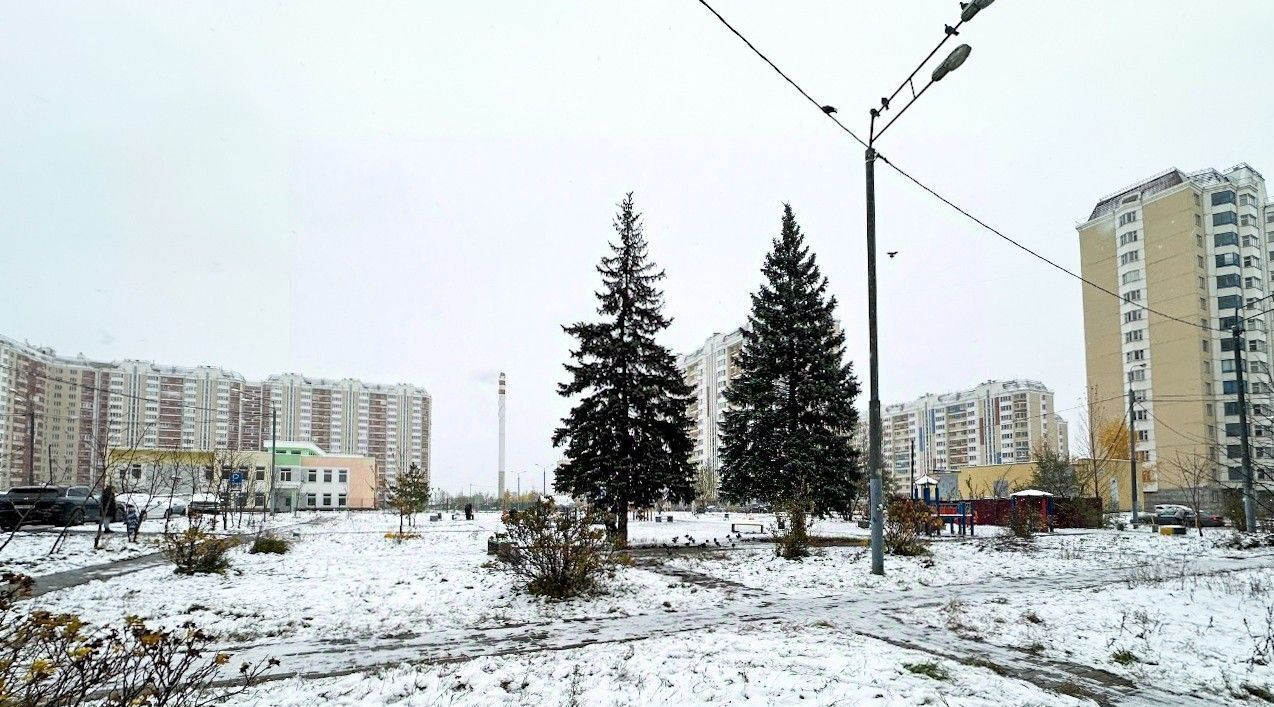 квартира городской округ Одинцовский с Немчиновка пр-кт Советский 102 микрорайон «Немчиновка» Немчиновка фото 17