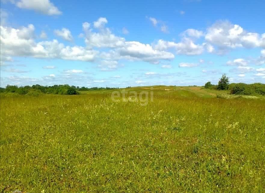 земля р-н Азовский х Колузаево Береговая фото 3