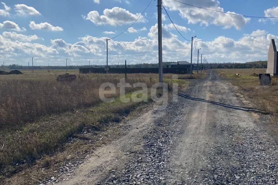 земля р-н Азовский Новоалександровка фото 1