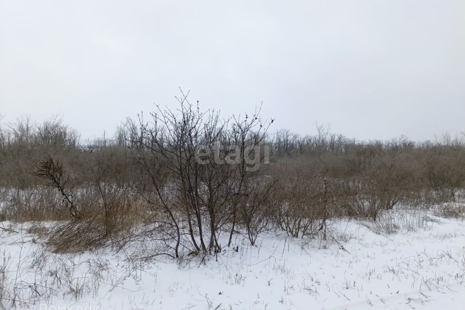 земля р-н Родионово-Несветайский Родионово-Несветайская фото 10