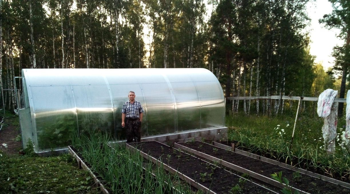 земля р-н Березовский с/с Зыковский сельсовет, Роза Ветров ДНТ, ул. Сосновая, 12 фото 3