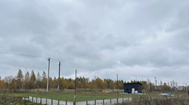 городской округ Сергиево-Посадский с Сватково фото