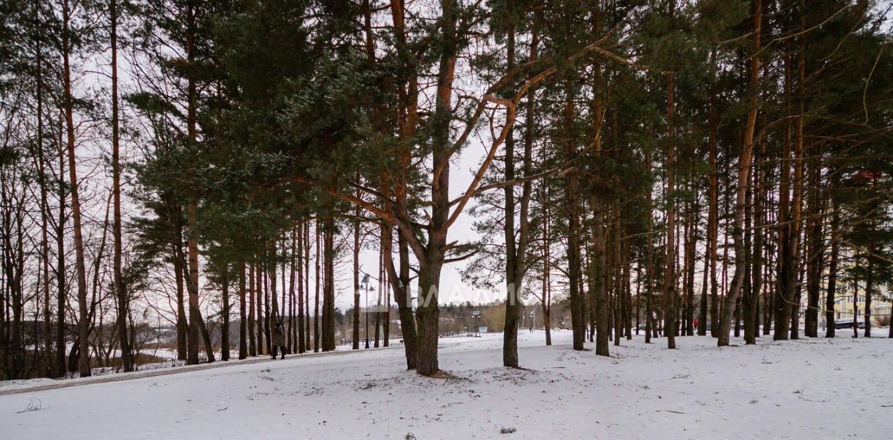 офис р-н Кингисеппский г Кингисепп ул Жукова Кингисеппское городское поселение фото 8