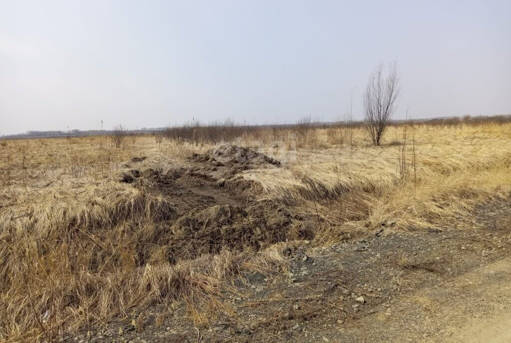 земля р-н Хабаровский с Восход Осиновореченское сельское поселение фото 7