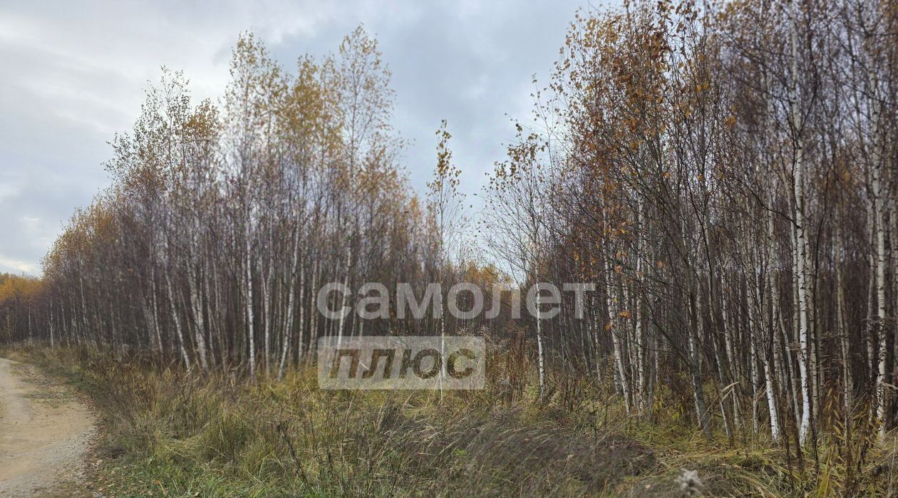 земля р-н Заокский Страховское муниципальное образование, Велегожские дачи кп фото 18