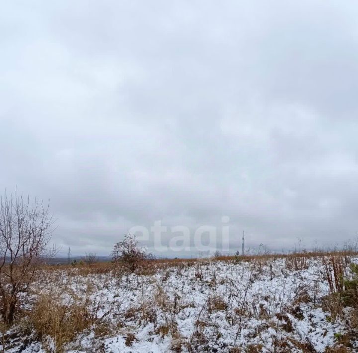 земля г Белокуриха ул Свободы фото 3