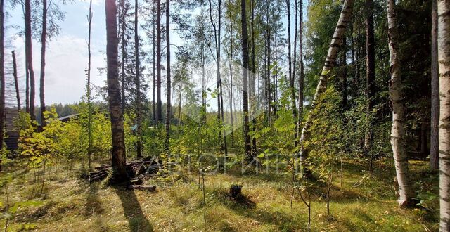 Приозерское шоссе, 11 км, Юкковское сельское поселение, дачное некоммерческое партнёрство Лесной Хутор, Сертолово фото