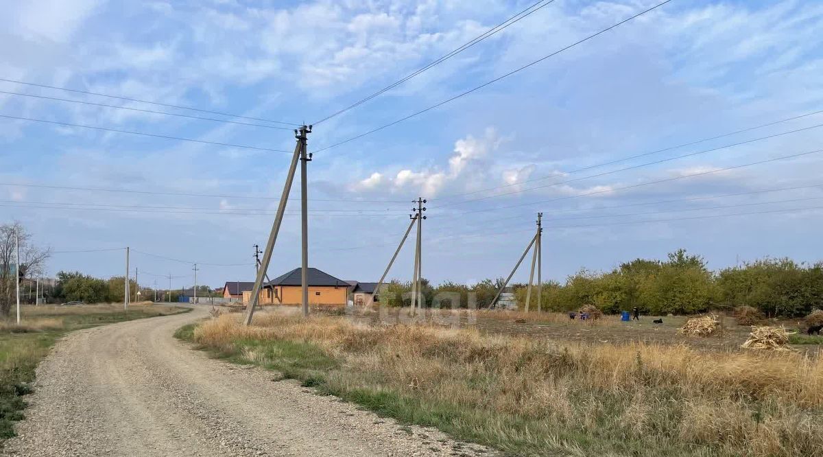 земля р-н Ейский с Александровка ул Совхозная Александровское с/пос фото 4