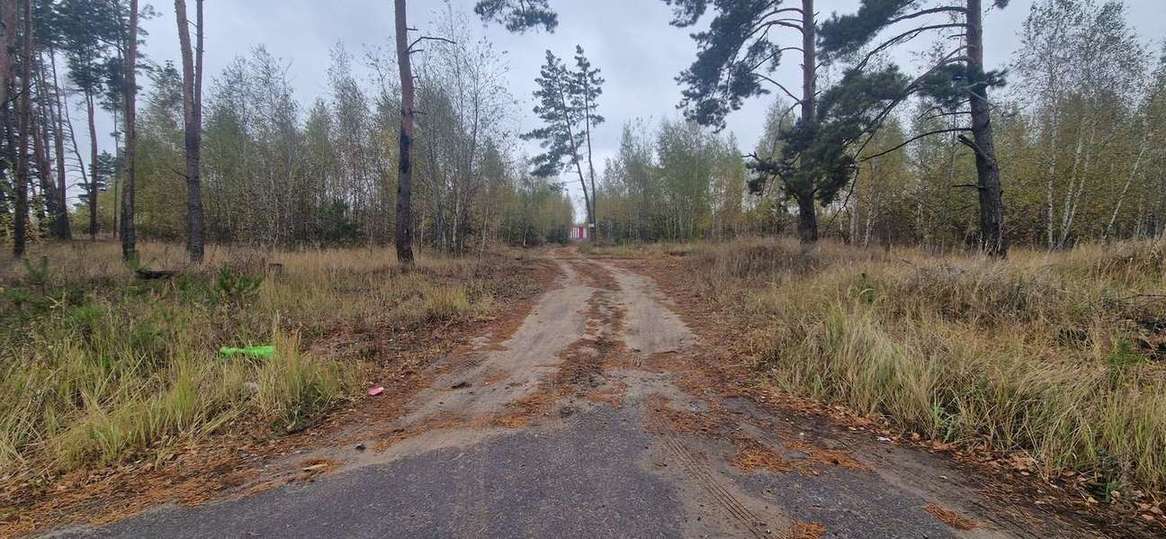 земля р-н Рамонский д Медовка ул Трудовая 3 фото 2