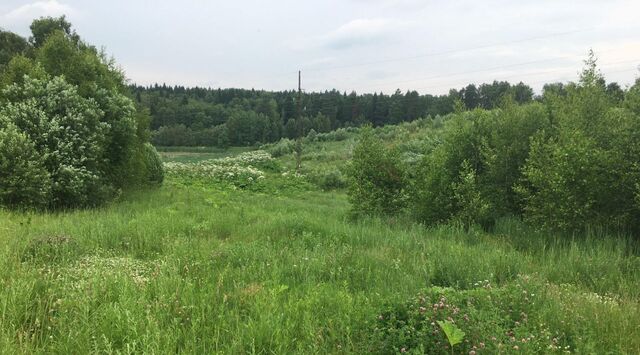 с пос, Пушкинский городской округ фото