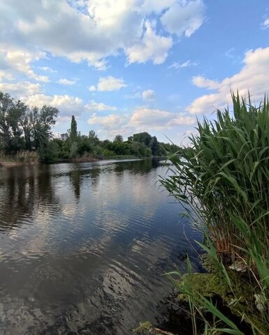 ул Кривая Энгельсский р-н фото