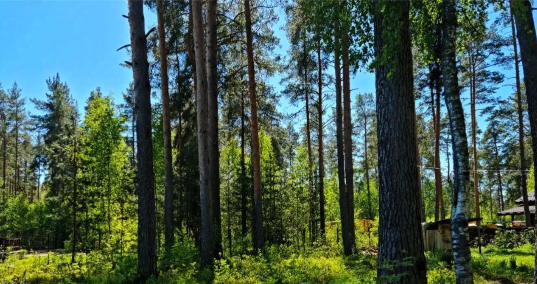 дом р-н Гатчинский Вырица городской поселок фото 3