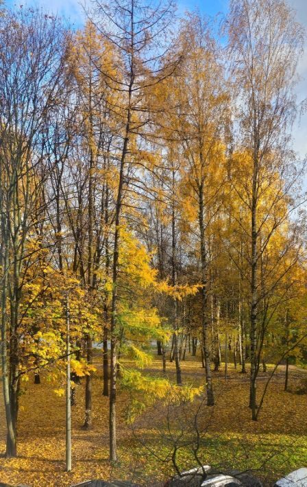 квартира г Санкт-Петербург метро Гражданский Проспект пр-кт Светлановский 93к/1 фото 7