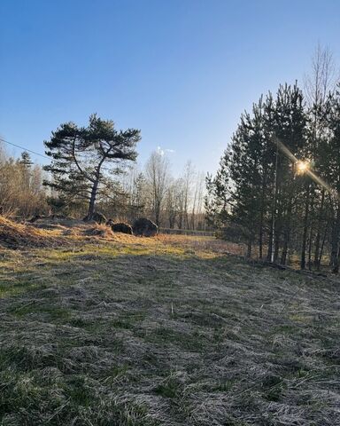 Трасса Скандинавия, 9804 км, Гончаровское сельское поселение, Окружное ш, Гаврилово фото