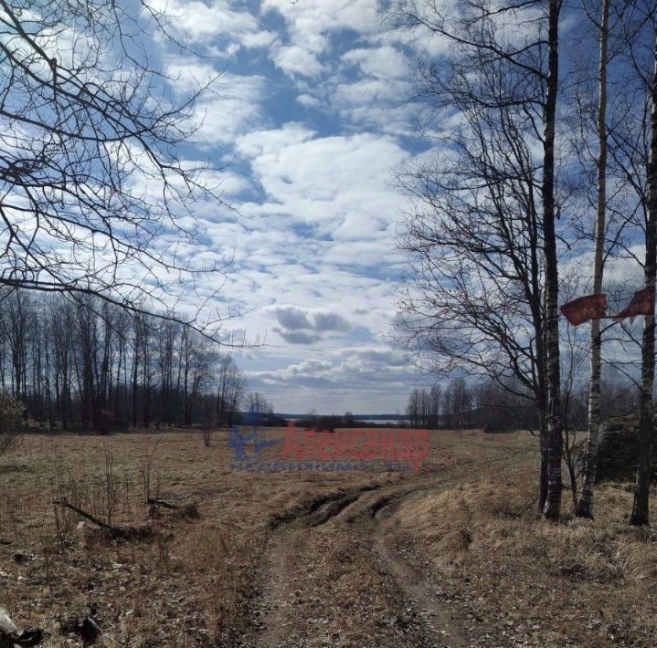 земля р-н Выборгский п Возрождение Каменногорское городское поселение фото 5