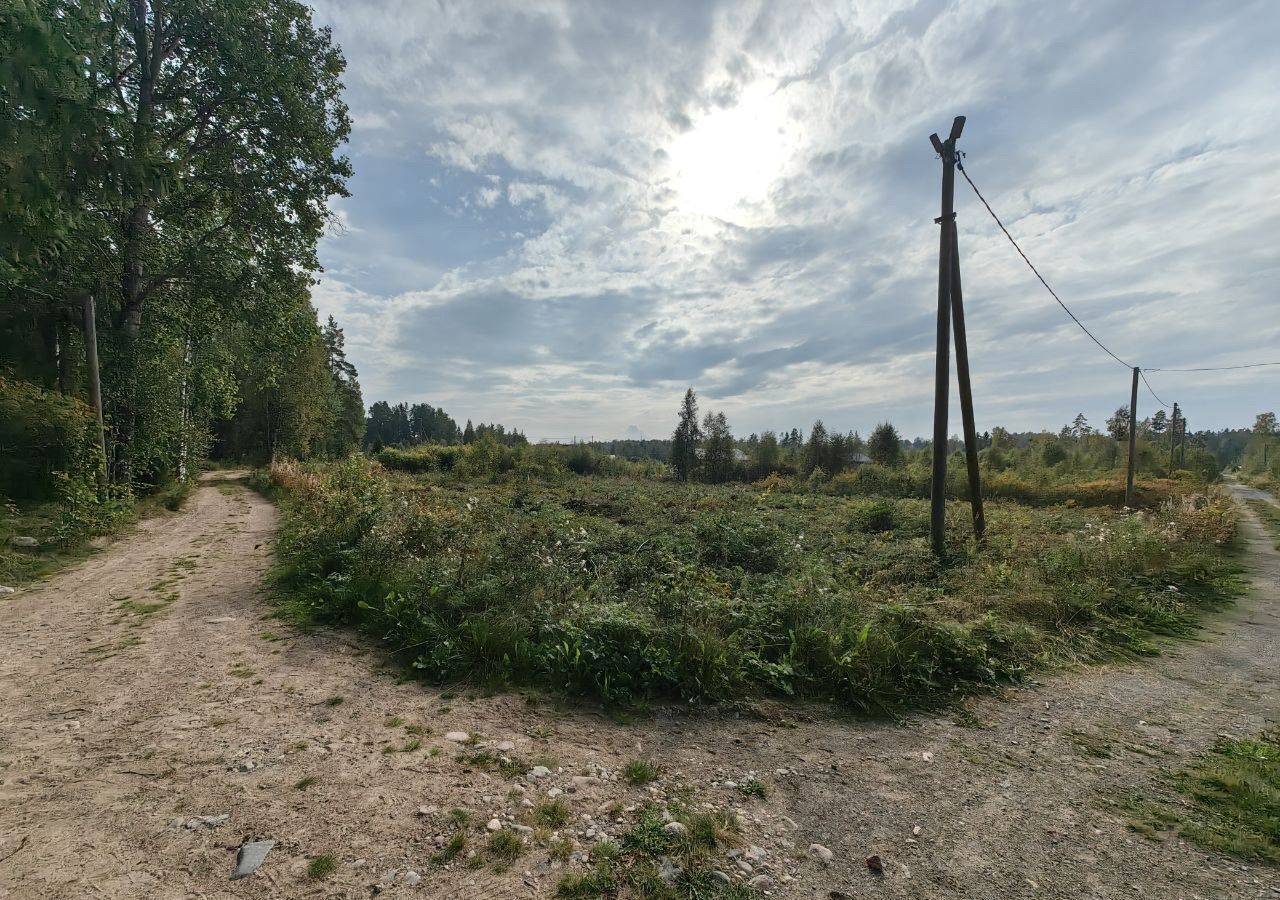 земля р-н Приозерский п Коммунары Трасса Сортавала, 9806 км, Громовское сельское поселение, садовое товарищество Нептун фото 4