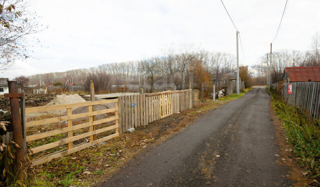 садово-огородническое некоммерческое товарищество Пустошкино, Кленовая улица фото