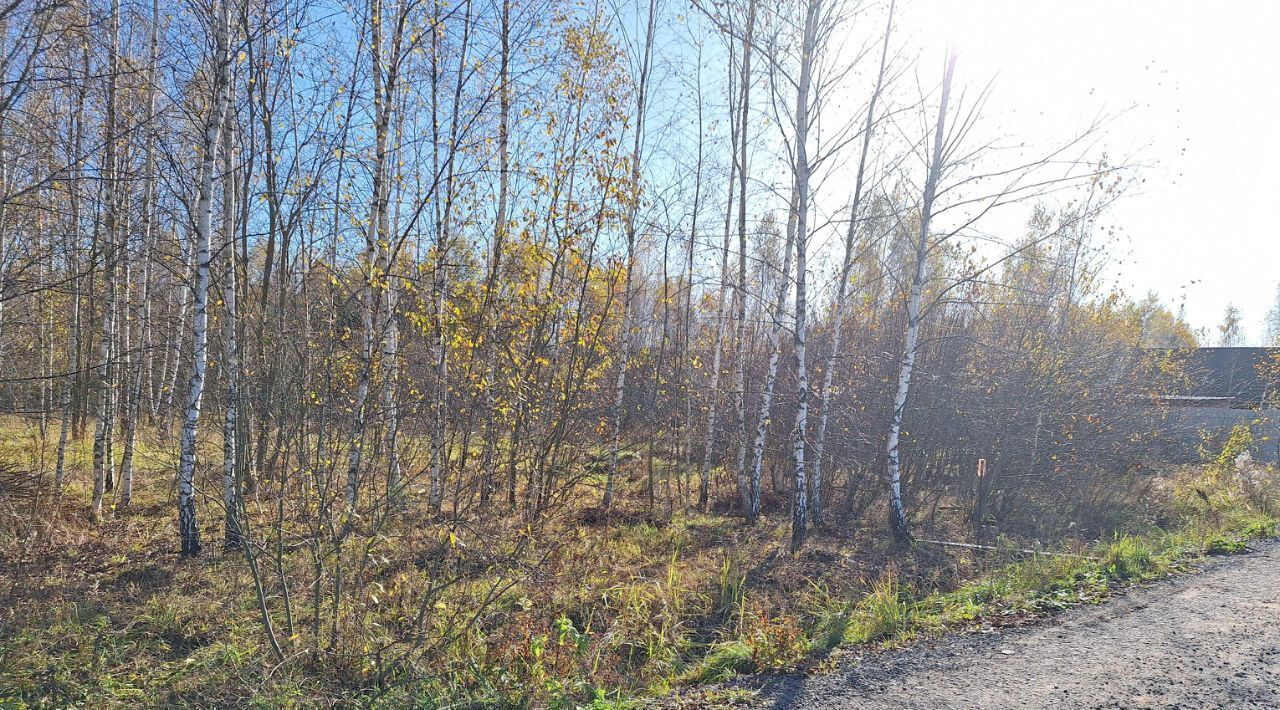 земля городской округ Чехов д Алексеевка ул Лесная фото 1