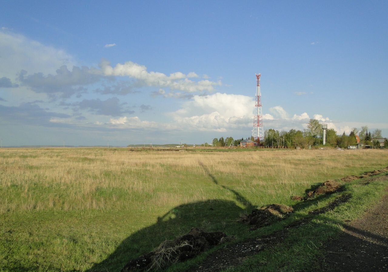 земля р-н Ордынский с Новопичугово Верх-Ирмень фото 3